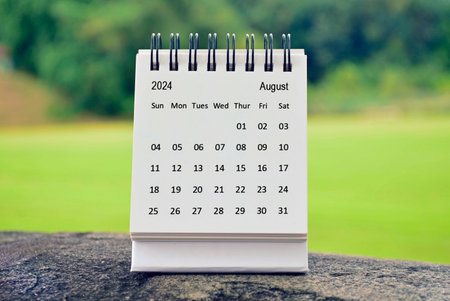 August 2024 white calendar with green blurred background. 2024 new year concept.の写真素材