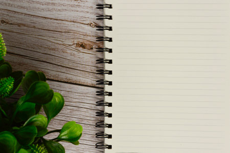 Directly above view of a desk with notepad and plant. Flat lay. Copy space.の写真素材