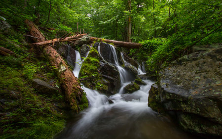Waterfall in Natureの写真素材