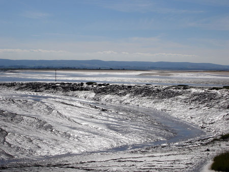 Glistening sun in the mudbank