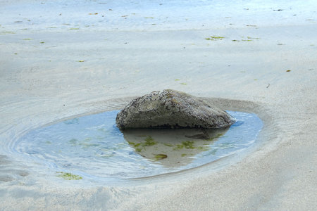 Rock in a pool on a beach