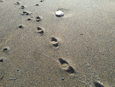 Footprints in the Sandの写真素材
