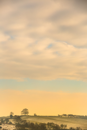 Cold morning warmed with the rising glow of the sun through thick clouds, showing fields,clouds and solitary tree on the skyline.の写真素材