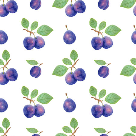 Seamless fruit pattern purple plums with leaves.Ripe fruits for healthy eating.Botanical illustration with markers and watercolors.Design element. seamless background of plums.Hand drawn illustration.の写真素材