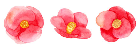 Camellia japonica with red double flowers.Botanical watercolor illustration.Simple stylized style. Set of decorative elements for a greeting card or wedding invitation. Hand drawn isolated art.Vector.のイラスト素材