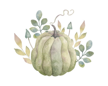 Composition of pumpkin with leaves and mushrooms. Autumn botanical watercolor illustration. Hand drawn isolated art. Healthy vegetable food. Template for seasonal holidays. Thanksgiving, Halloween.の写真素材