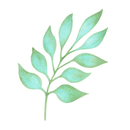 Branch of greenery. Watercolor and marker illustration. Botanical forest grass. Hand drawn isolated art. Floral green leaves for wedding invitation, frame, wreath, greeting cards.の写真素材
