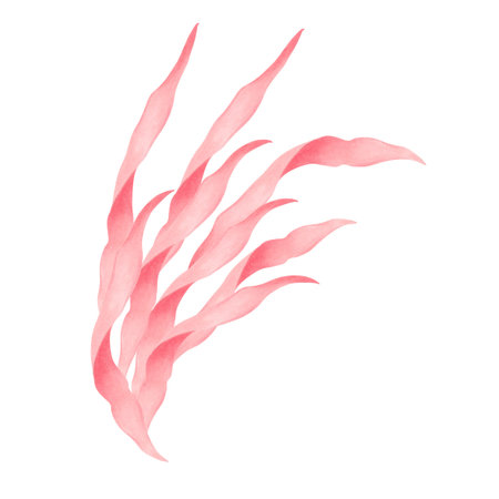 Graceful undulating seaweed. Watercolor illustration. Branches of peach seaweed in motion. Marine...