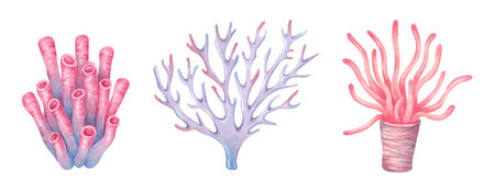 Set of tube, branched coral, sea sponge. Watercolor and marker illustrations. Ocean coral reefs,...