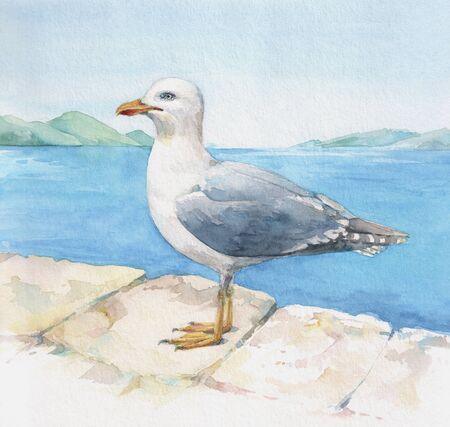 Watercolor seagull on the blue sea background.の写真素材