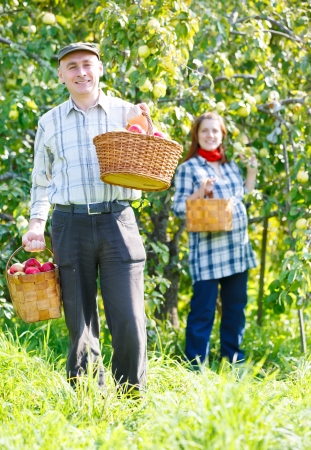 happy couple in the garden harvestsの写真素材