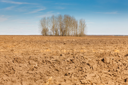 plowed agricultural field on a background of blue skyの写真素材