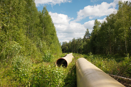 gas pipe line that laid through green woodの写真素材