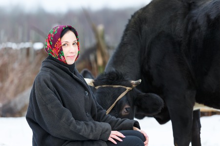woman in headscarf near  cow in winter yardの写真素材