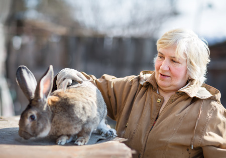 elderly woman with a big rabbit farmの写真素材