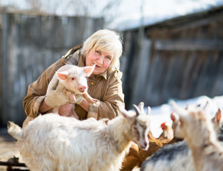 Adult female farmer holding a small pig.Focus on a pigの写真素材