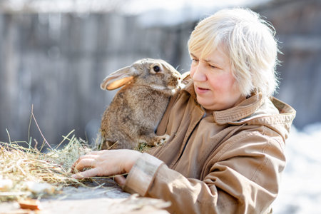 Timid rabbit cuddle for a woman. Domestic livestockの写真素材