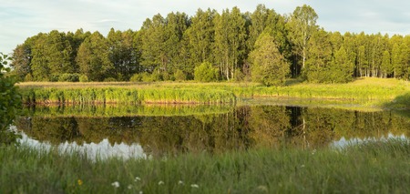 forest is reflected in a water smooth surface of the lakeの写真素材