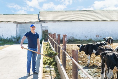 portrait of a man on livestock ranchesの写真素材