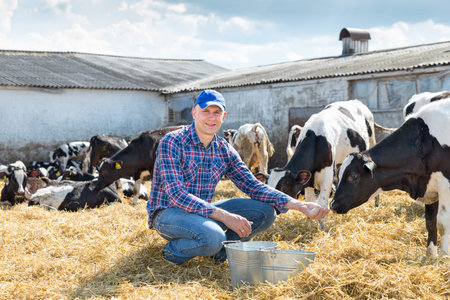 Portrait of Farmer feeding cows in farmの写真素材