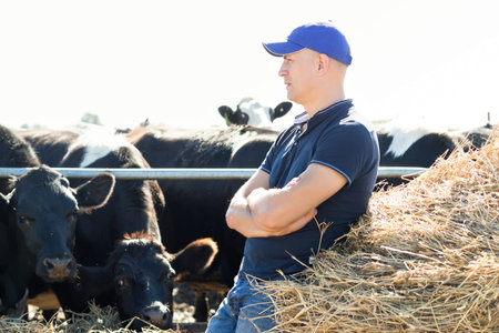 Farmer portrait against background of herd of cowsの写真素材