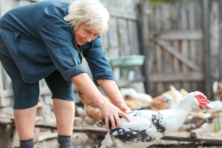 fun woman catches gooseの写真素材