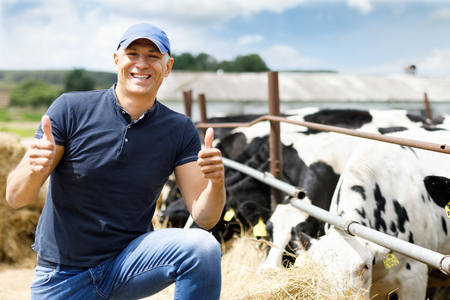 happy farmer is working on cow farmの写真素材