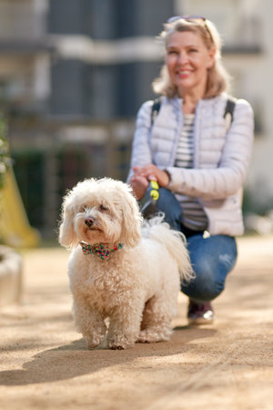 Elderly pensioner woman walk park white small dog.