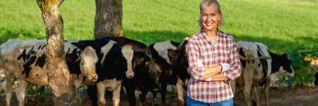 Mature woman on rural farm with dairy cowの写真素材