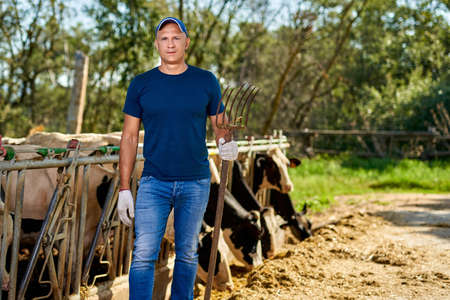 Farmer is working on farm with dairy cowsの写真素材