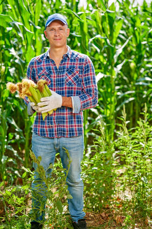 Man farmer with a crop of corn.の写真素材