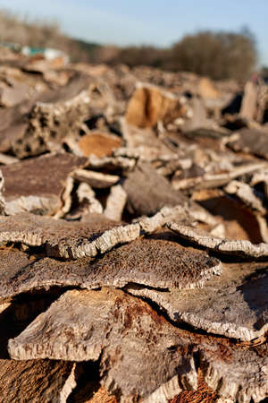 Wood bark production at industrial factory.の写真素材