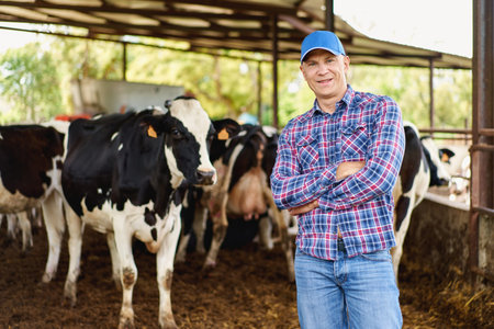 farmer cowboy at cow farm ranch