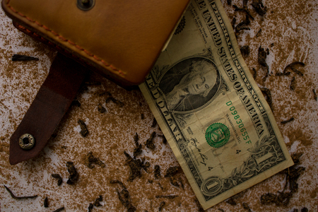 Wallet with dollar on the background of scattered tea and cinnamonの写真素材