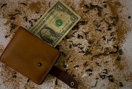 Wallet with dollar on the background of scattered tea and cinnamonの写真素材