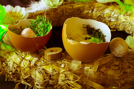 Quail egg. Flowers Easter. Christian holiday.の写真素材