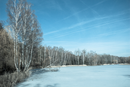 Edge of the forest near the frozen lake. Spring. Winter. Background.の写真素材