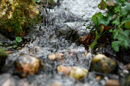 Small natural water stream flowing over mossy rocksの写真素材