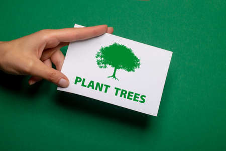 female hand holds a piece of paper with the inscription plant trees in green writing over strong green background cardboardの写真素材