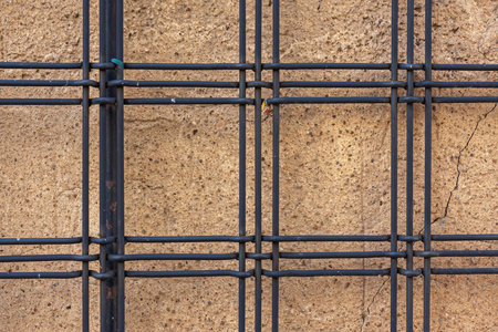Black painted metal grid pattern - trellis to give support for climbing plants in front of a brown...