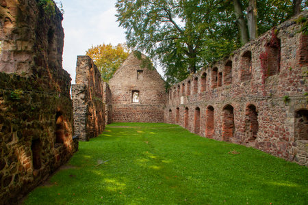 The ruins of the monastery church in Nimbschen, a former Cistercian abbey near Grimma in the Saxon district of Leipzig on the Mulde River in Germany. important monument of the Reformation.の写真素材