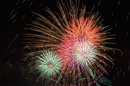 Fireworks against black sky