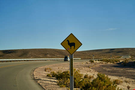 black and yellow road sign standing next to the street in Chile at the panamerican highway, warning of a Llama or Guanaco, and asking to pay attention and cautionの写真素材