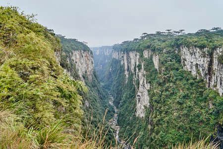 Itaimbezinho canyon at the Aparados da Serra National Park, located in the Serra Geral range of Rio Grande do Sul and Santa Catarina between coastal forests, grasslands and Araucaria moist forestsの写真素材