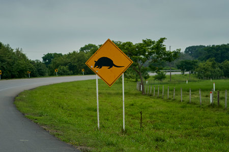 black and yellow road sign. traffic sign showing a armadilloの写真素材