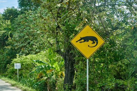 black and yellow road sign standing next to the street in Colombia at the panamerican highway, warning of a big ant eater and asking to pay attention and cautionの写真素材
