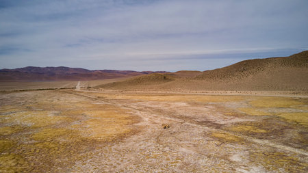 aerial of s small herd of vicuna on the Paso Sico on the way from San Pedro de Atacama in Chile to...