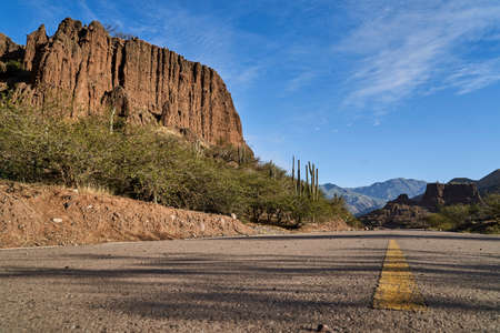 Lonely highway with yellow middle line in a beautiful and arid desert landscape showing cactus and desert rock formations, Peru, South Americaの写真素材