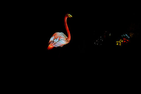 Osabrueck, Germany - 09 19 2020: Illuminated Sculpture at zoo lights Osnabrueck showing a pink flamingoのeditorial素材