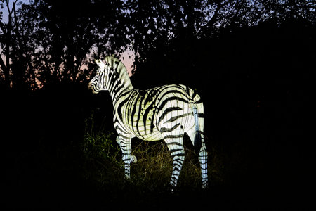 Osabrueck, Germany - 09 19 2020: Illuminated Sculpture at zoo lights Osnabrueck showing a Zebraのeditorial素材